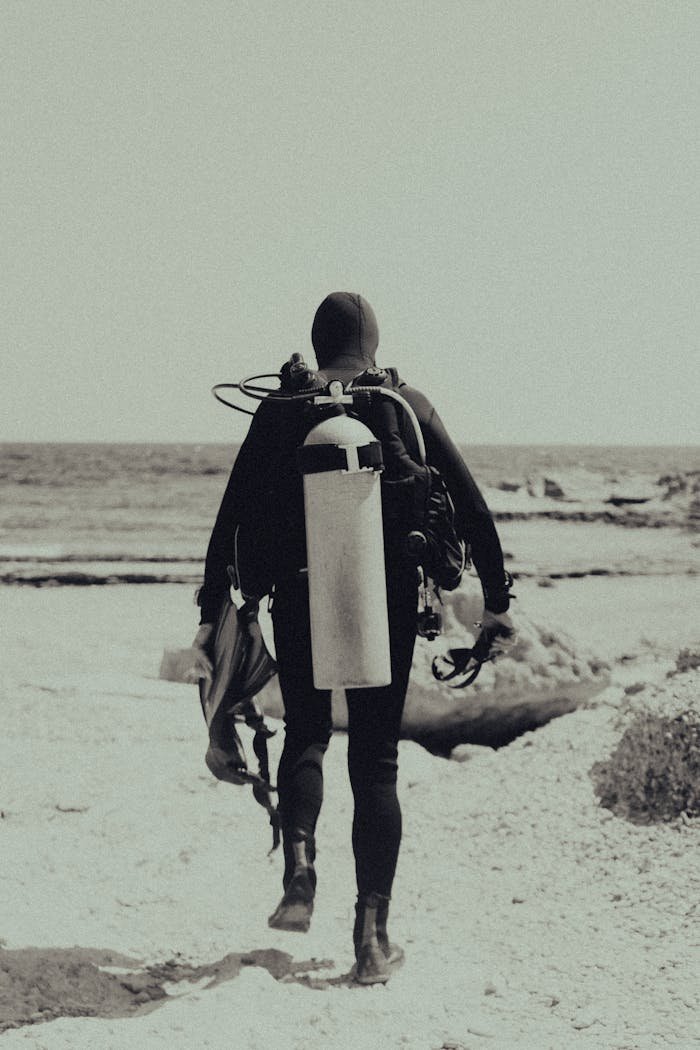 Back view of a scuba diver with equipment walking on a beach towards the ocean.