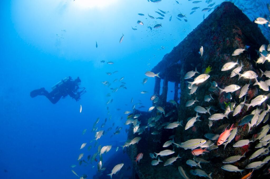 Explore an underwater world with a diver, fish, and a shipwreck.